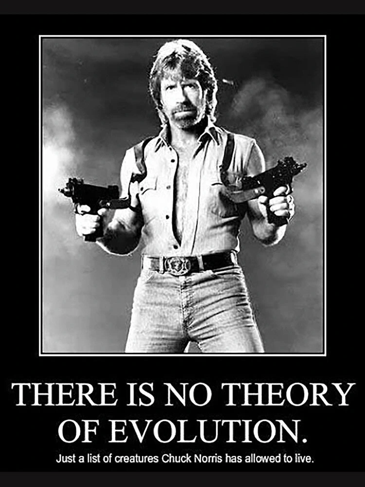 Chuck Norris Memes