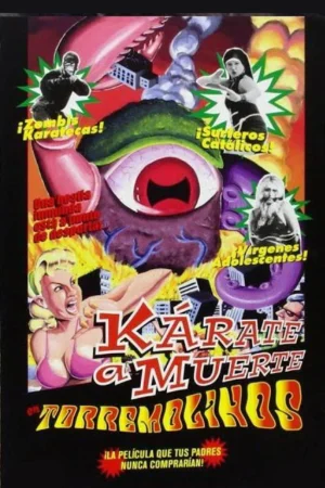 Kárate a muerte en Torremolinos - Poster