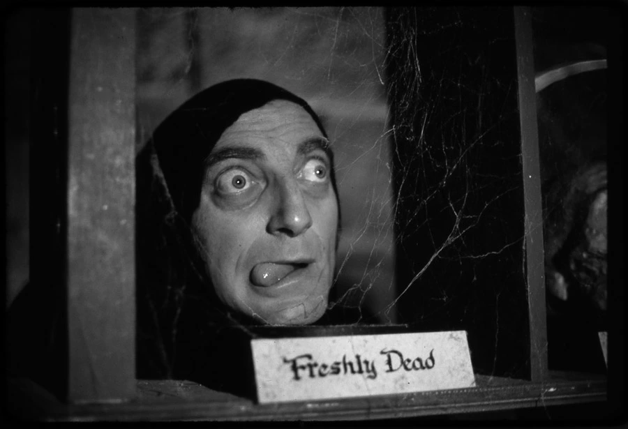 El Jovencito Frankenstein - Marty Feldman