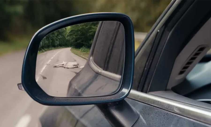 Accidente de Death of a Unicorn
